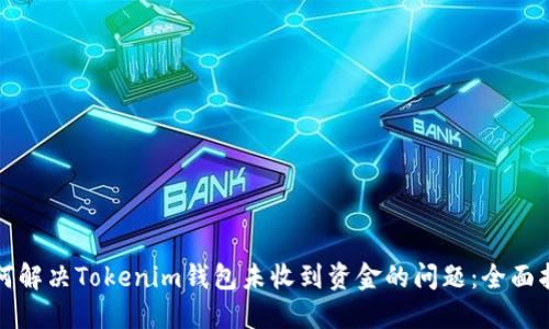 如何解决Tokenim钱包未收到资金的问题：全面指南