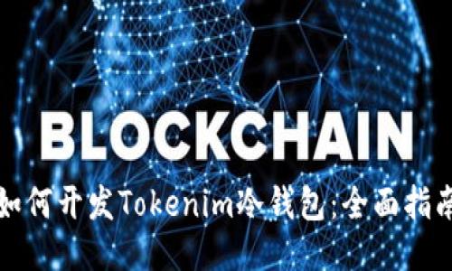 如何开发Tokenim冷钱包：全面指南