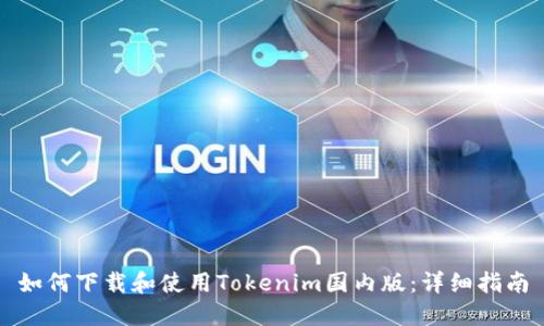 如何下载和使用Tokenim国内版：详细指南