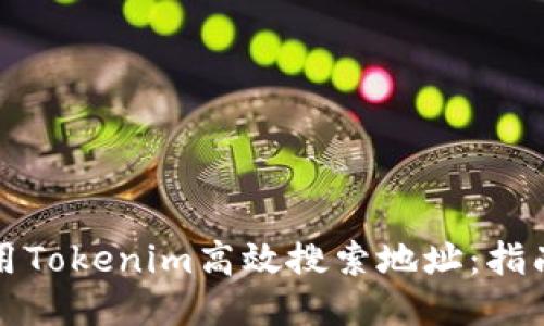 如何使用Tokenim高效搜索地址：指南与技巧