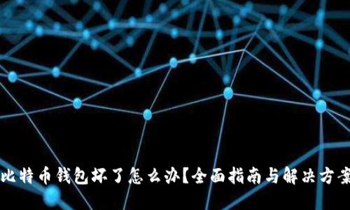 比特币钱包坏了怎么办？全面指南与解决方案