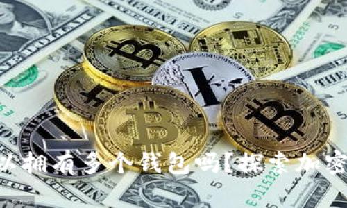 一个Token可以拥有多个钱包吗？探索加密钱包的多样性