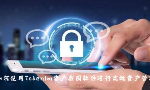 如何使用Tokenim资产截图软件进行高效资产管理