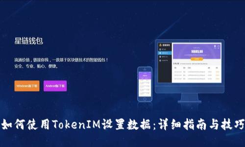 如何使用TokenIM设置数据:详细指南与技巧