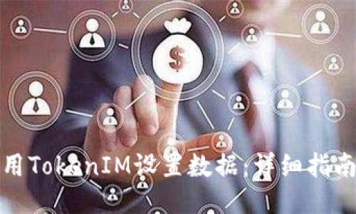 如何使用TokenIM设置数据:详细指南与技巧