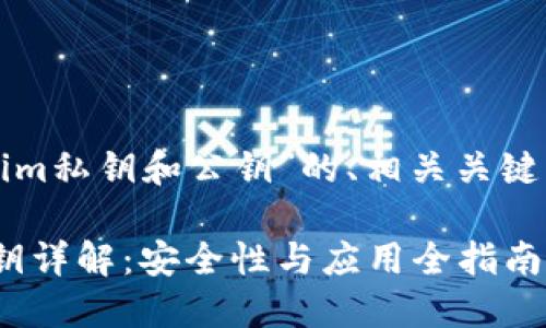 以下是关于“tokenim私钥和公钥”的、相关关键词和详细内容大纲。

Tokenim私钥与公钥详解：安全性与应用全指南