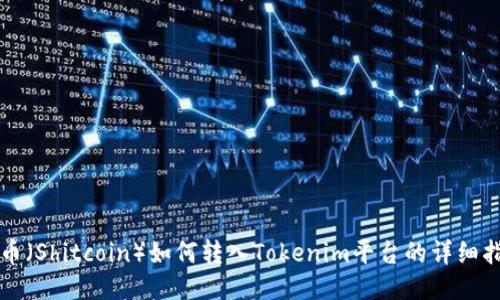 屎币（Shitcoin）如何转入Tokenim平台的详细指南