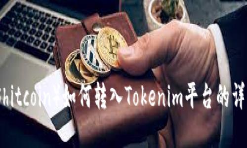 屎币（Shitcoin）如何转入Tokenim平台的详细指南