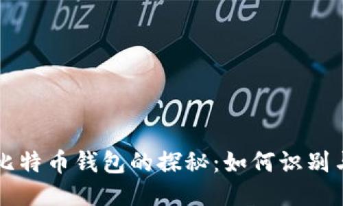 无主比特币钱包的探秘：如何识别与利用