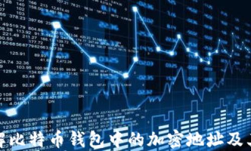 
如何理解比特币钱包中的加密地址及其重要性