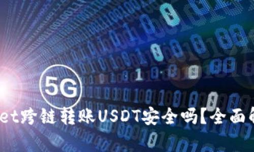 bianotitpWallet跨链转账USDT安全吗？全面解析与用户指南