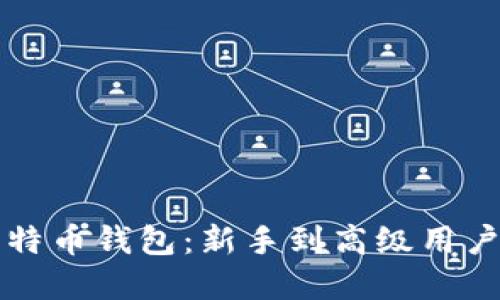 全面解读比特币钱包：新手到高级用户的完全指南