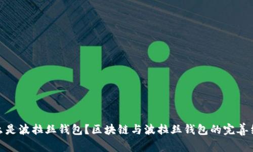 什么是波拉丝钱包？区块链与波拉丝钱包的完善结合