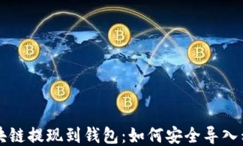
区块链提现到钱包：如何安全导入私钥
