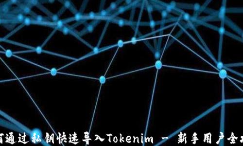 
如何通过私钥快速导入Tokenim - 新手用户全攻略