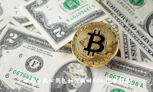 比特币核心钱包如何找回BCH：完整指南