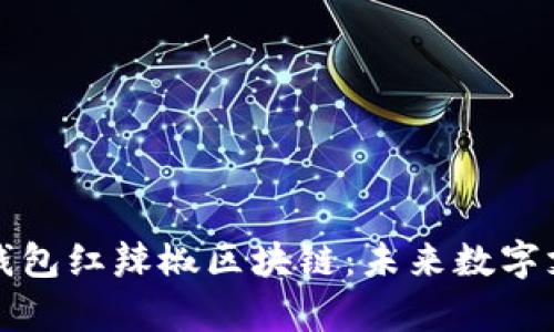深度解析云钱包红辣椒区块链：未来数字支付的新趋势