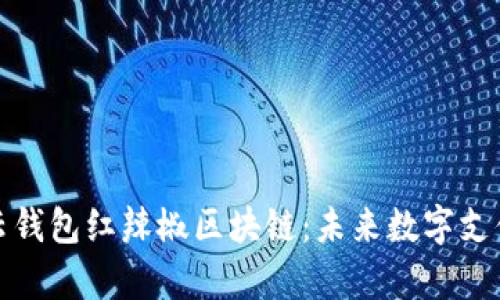 深度解析云钱包红辣椒区块链：未来数字支付的新趋势