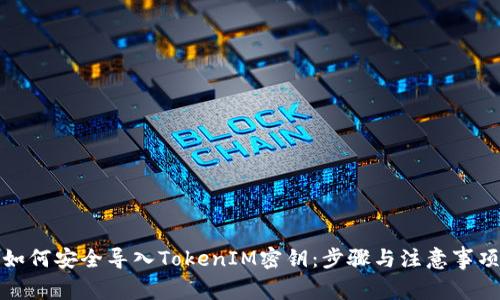 如何安全导入TokenIM密钥：步骤与注意事项