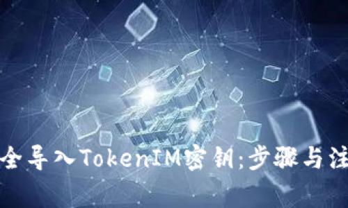 如何安全导入TokenIM密钥：步骤与注意事项