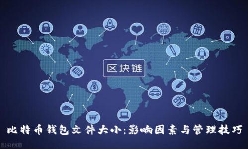 比特币钱包文件大小:影响因素与管理技巧