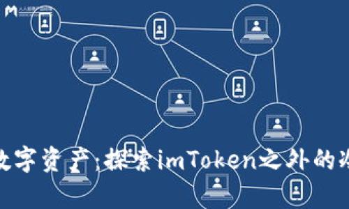 安全储存数字资产:探索imToken之外的冷钱包选择