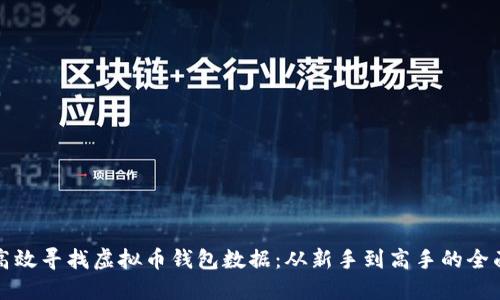 如何高效寻找虚拟币钱包数据:从新手到高手的全面指南