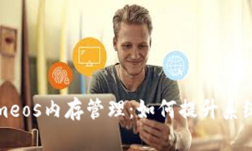 彻底解析Tokenimeos内存管理：如何提升系统性能与应用效率