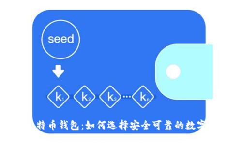 探秘国外最大的比特币钱包：如何选择安全可靠的数字货币存储解决方案