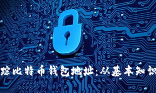 如何有效追踪比特币钱包地址:从基本知识到实用工具