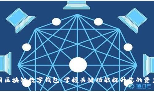 如何有效利用区块链数字钱包：掌握关键功能提升您的资产安全和管理