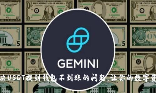 如何快速解决USDT提到钱包不到账的问题，让你的数字资产安全无忧