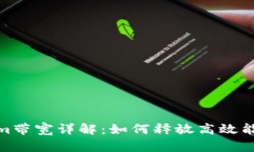 Tokenim带宽详解：如何释放高效能和价值